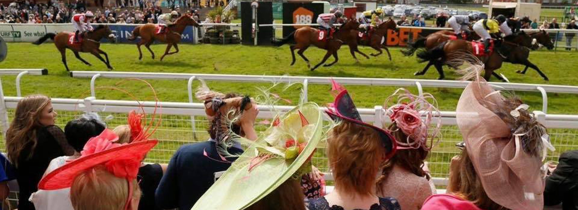 Raceday - Saturday 20th June - Ladies' Day