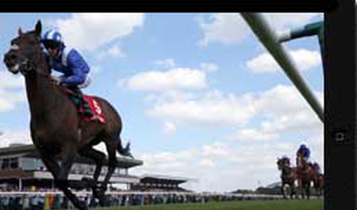 Redcar Racing — ENJOY LIVE RACING FROM 12 BRITISH MEETINGS ...