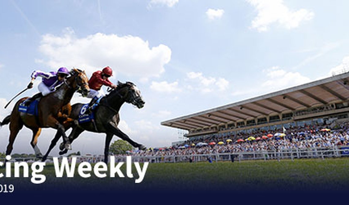 Redcar Racing — A bumper weekend with 18 meetings to enjoy on Racing TV