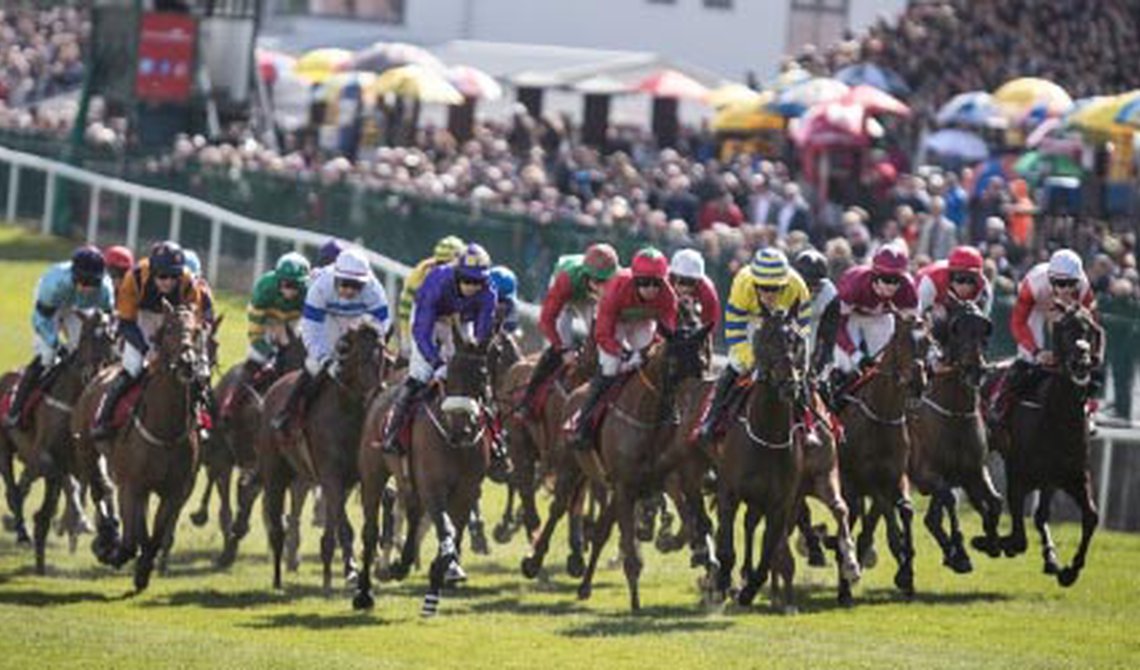 Redcar Racing — FEATURED ON RACING TV THIS WEEK THE PUNCHESTOWN FESTIVAL